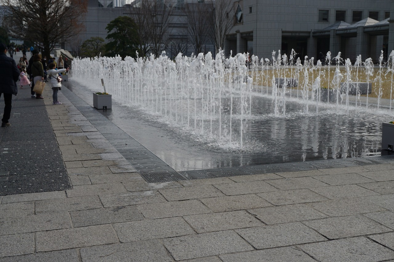 dsc01261.jpg